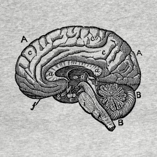 Simple Brain Diagram T-Shirt